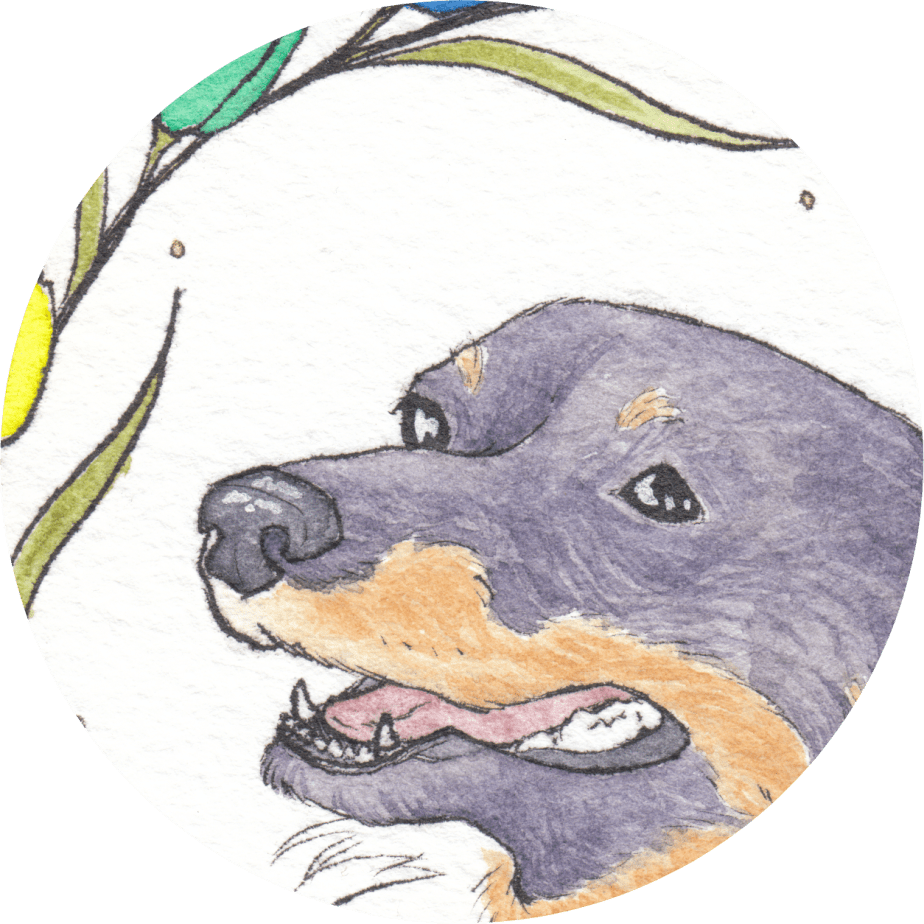 Closeup of a watercolor painting of a small black dog